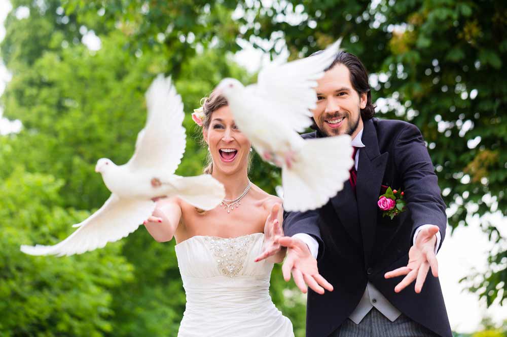Ontdek 6 ideeën van vluchtanimaties voor uw huwelijk