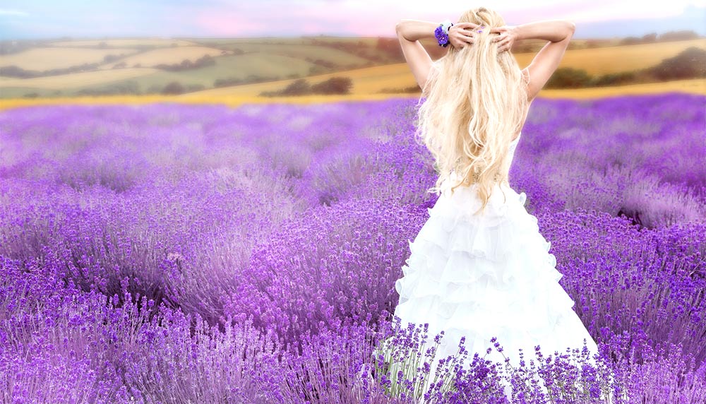 Lavendel thema voor uw bruiloft Lavendel thema voor uw bruiloft
