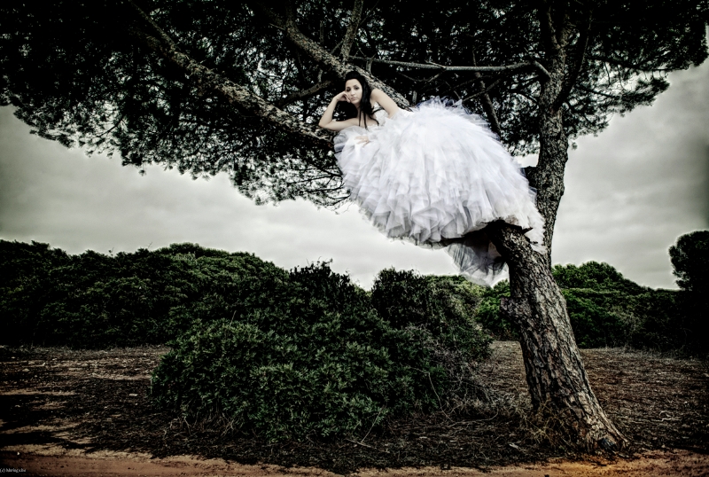 Vision Photography