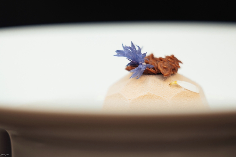 TRAITEUR ARTFOOD