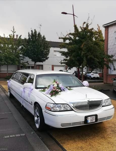 3D LIMO