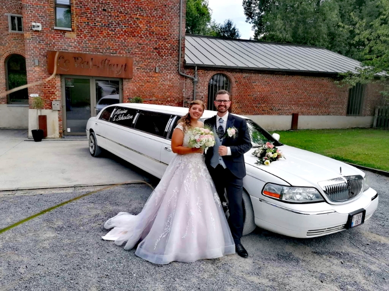 3D LIMO