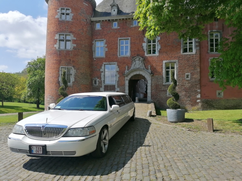 3D LIMO