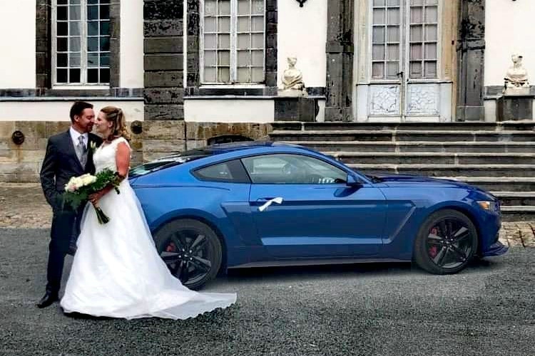 3D LIMO