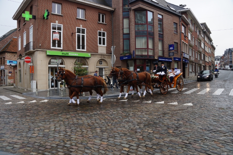 Equid' Events