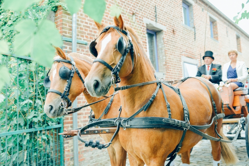 Equid' Events