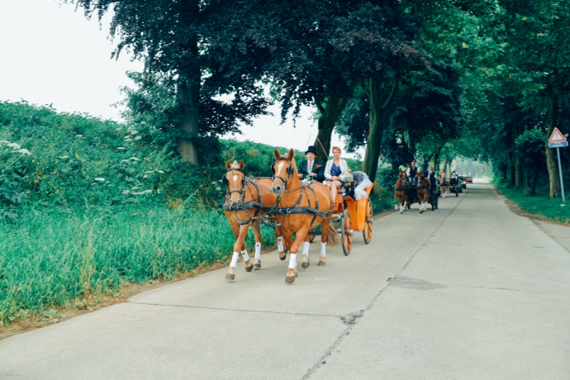 Equid' Events