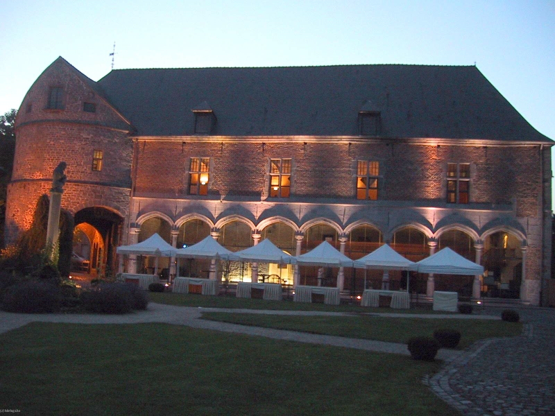 CHÂTEAU-FORT DE FELUY