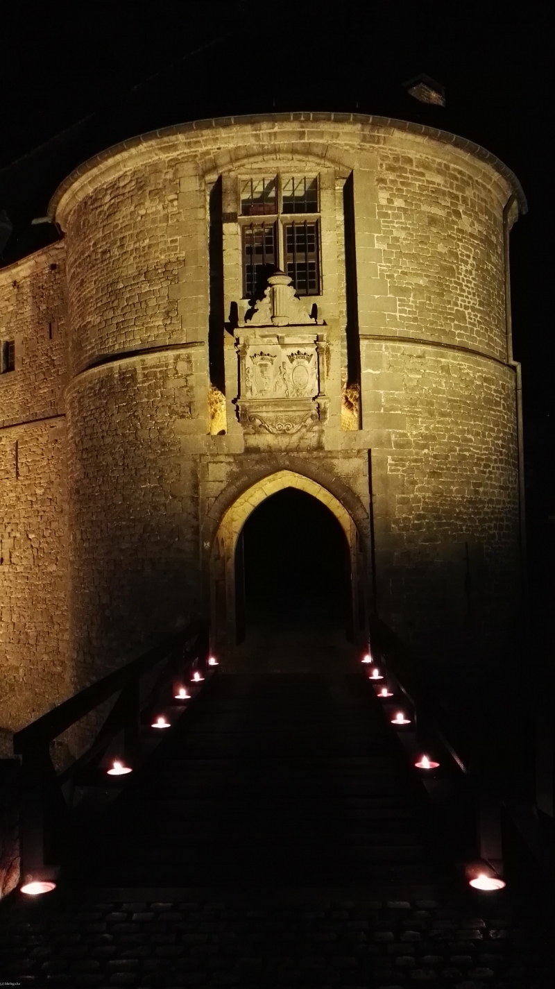 CHÂTEAU-FORT DE FELUY