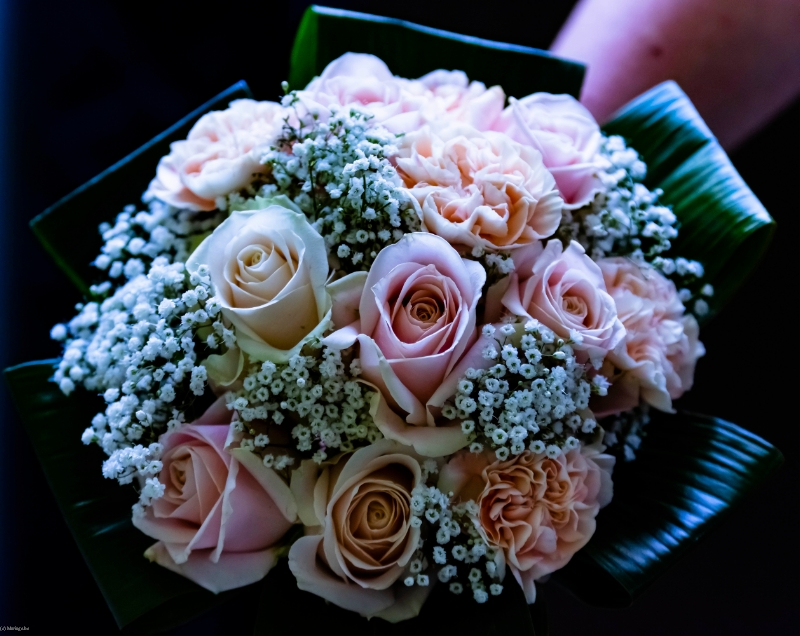 Fleuris&Vous