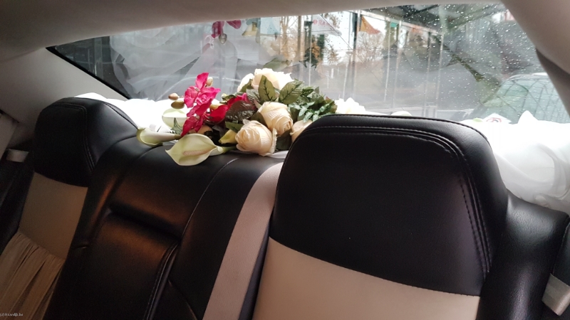 Tripp Limo Services
