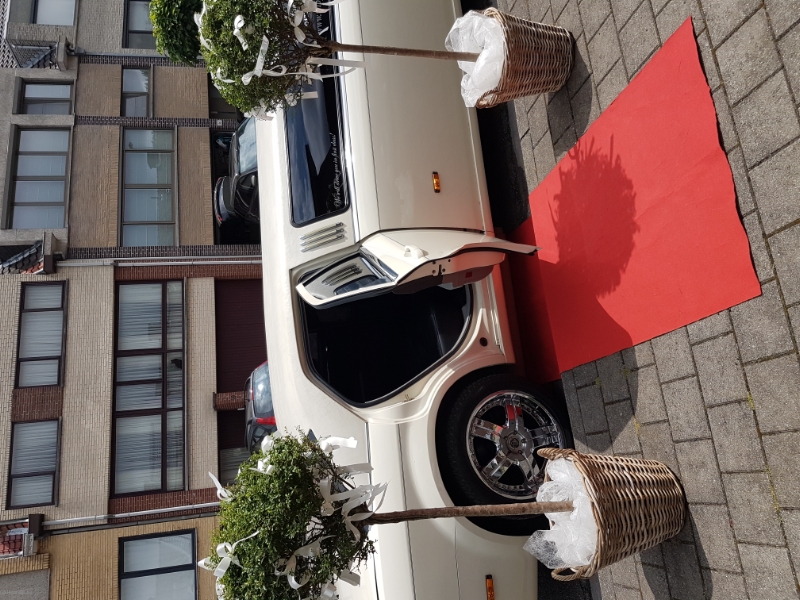 Tripp Limo Services