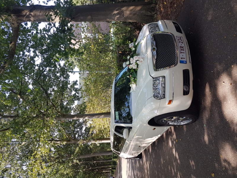 Tripp Limo Services