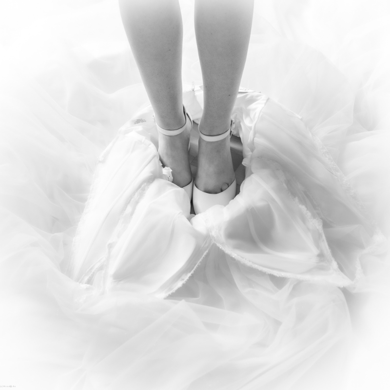 Peter Hermans PHotography