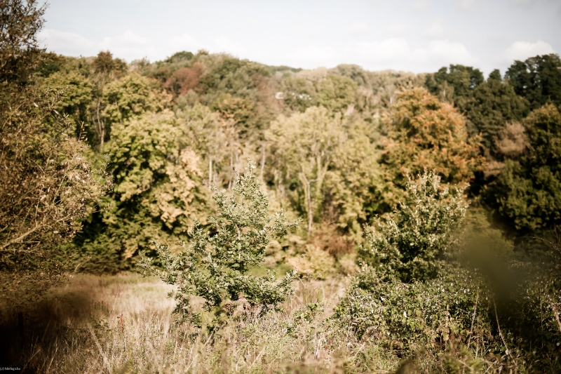 Domaine Hubermont