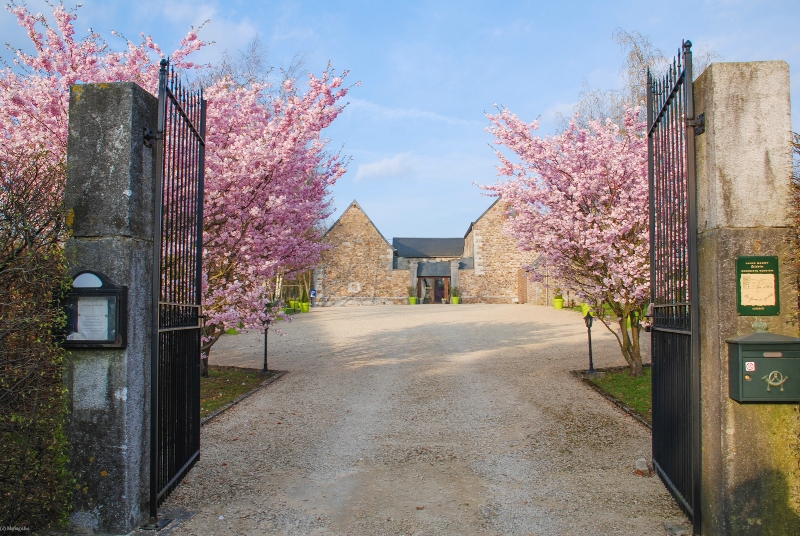 LA FERME DE GABELLE