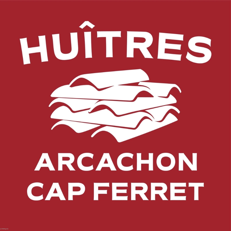 HUITRE O BASSIN