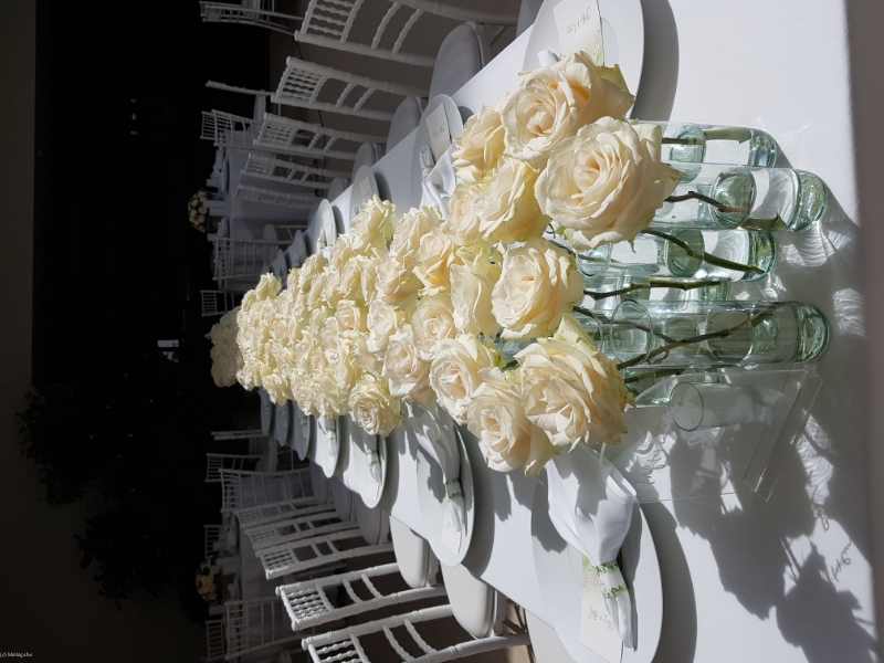 ALEGRIA WEDDINGS&EVENTS