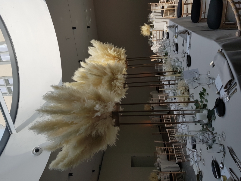 ALEGRIA WEDDINGS&EVENTS