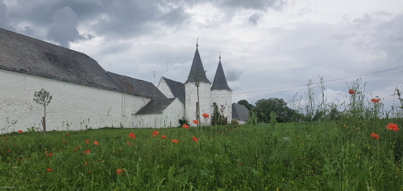 Les Ecuries Modernes