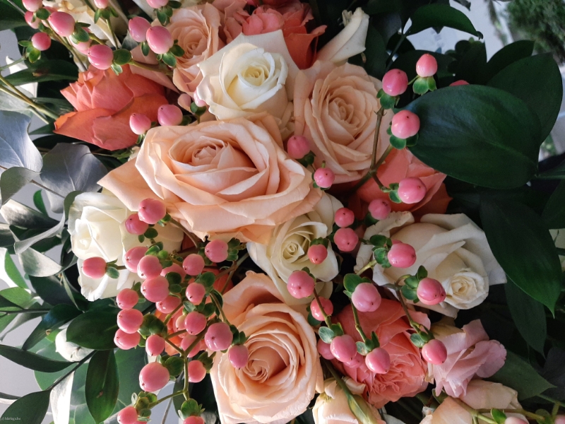 ELODIE EVENTS