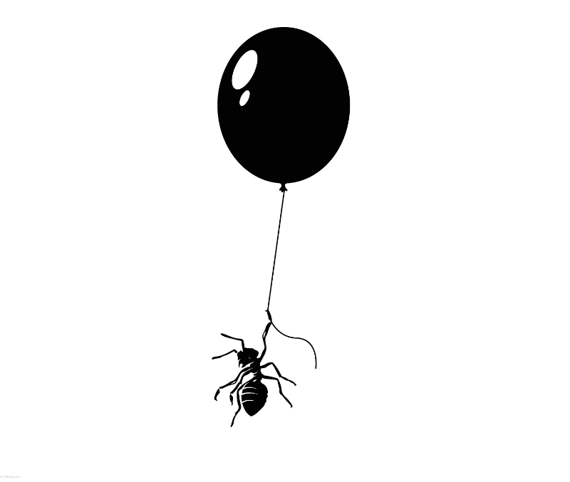 The Flying Ant