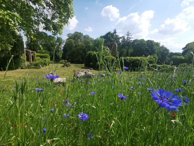 Domaine des Possibles